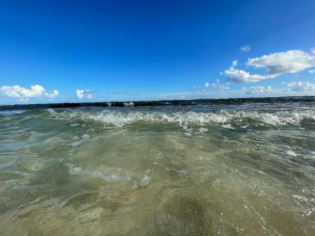 Appartement La Perle, T2 Les Pieds Dans L'Eau A 50M De La Mer Saint-Francois  Exterior photo